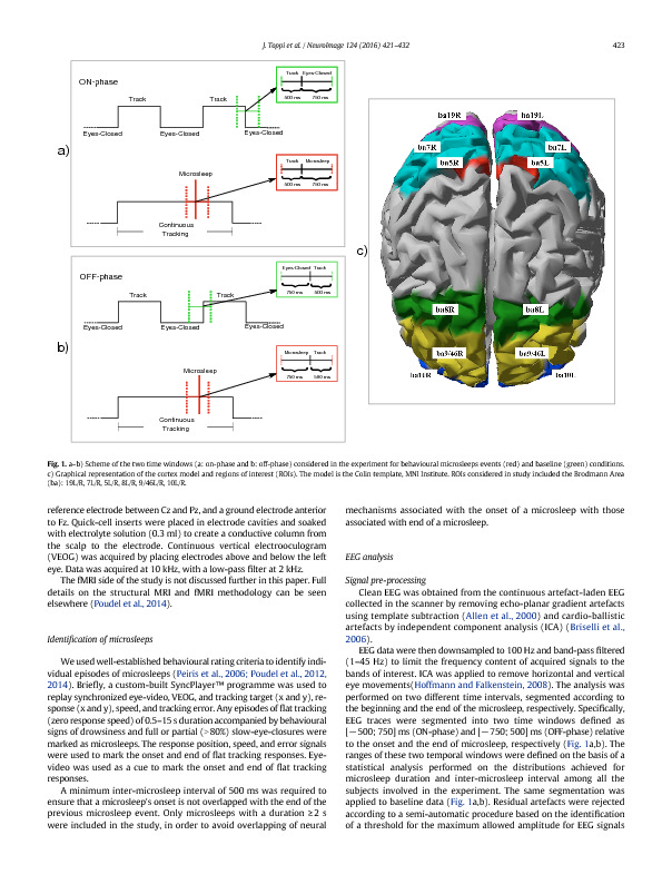 Download Time-varying functional connectivity of the cortical neuroelectric activity associated with behavioural microsleeps.