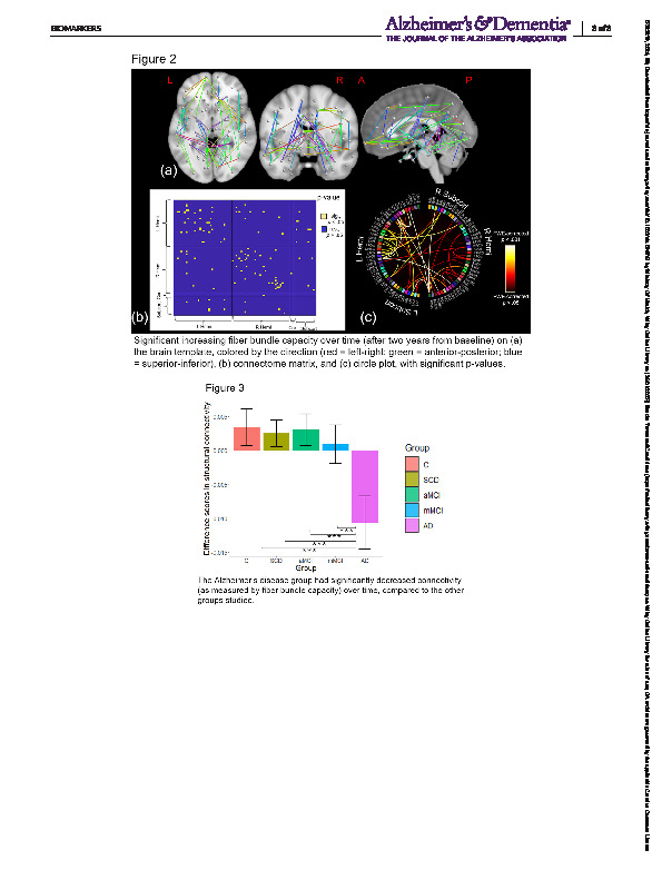 Download Investigation of structural connectivity in the whole brain and frontoparietal network in groups at risk of Alzheimer’s disease dementia.