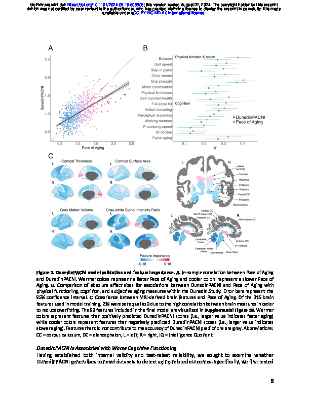 Download An estimate of the longitudinal pace of aging from a single brain scan predicts dementia conversion, morbidity, and mortality.