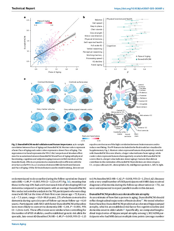 Download DunedinPACNI estimates the longitudinal Pace of Aging from a single brain image to track health and disease.
